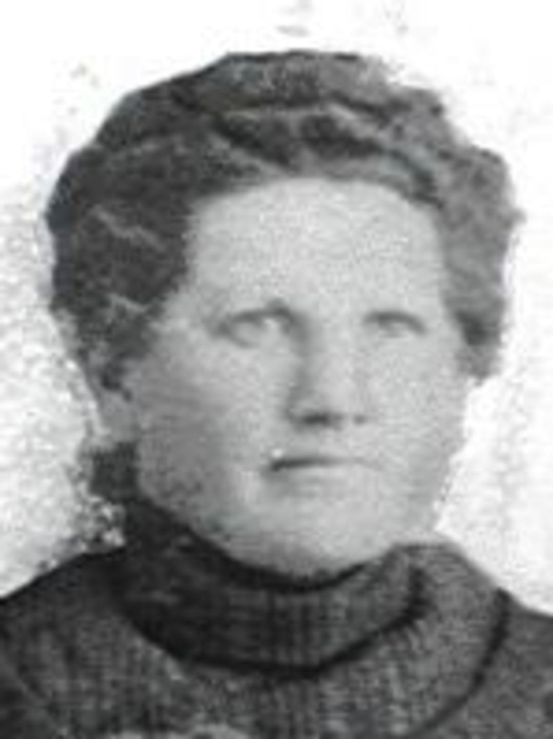 Isabelle Tonks Thacker (1858 - 1925) Profile